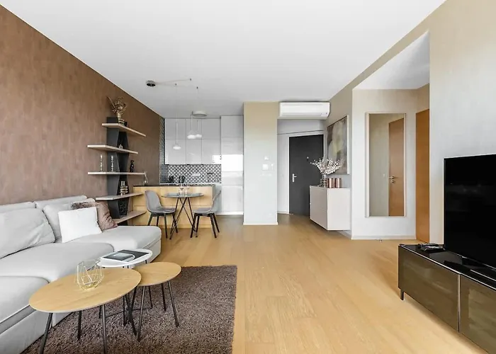 Panorama Castle And Danube View