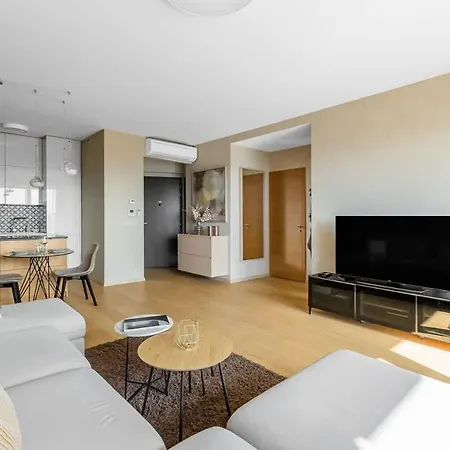 Panorama Castle And Danube View