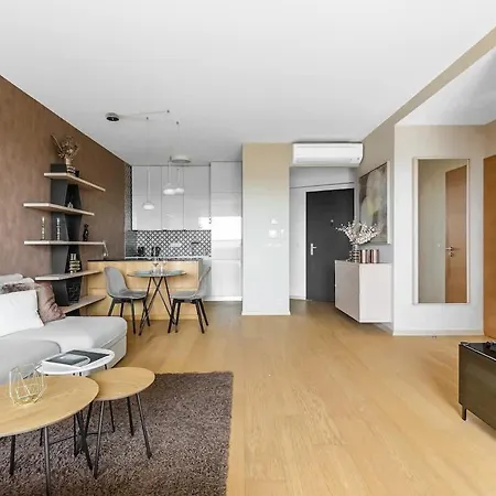 Panorama Castle And Danube View